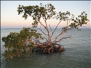 Everglades National Park